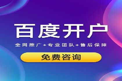 行业内的SEM竞价代运营公司优秀案例剖析